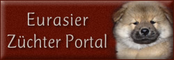 Eurasier Züchter Portal